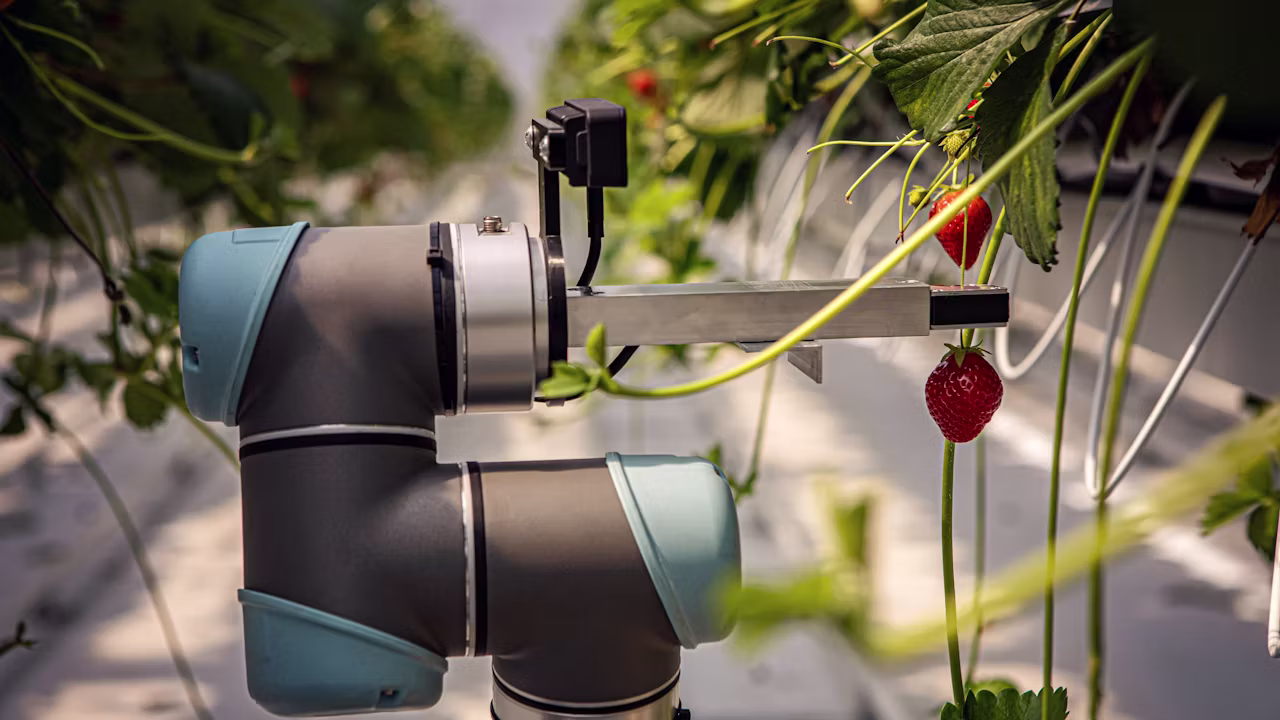 AI mezőgazdaság fravebot Siemens